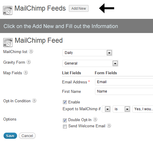 Gravity Forms - Addon MailChimp