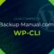 Backup Manual com WP-CLI: Um Guia Completo